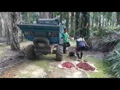 1325mm Open Cabinepalmolie het Oogsten Machinegewicht 1250kg met Grapple