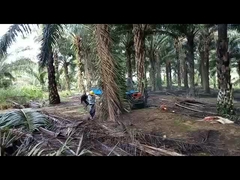 2150mm de Tractor van de Wielbasispalmolie met Landbouw de Tankcapaciteit van de Band11l Brandstof