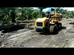 Hydraulische mini-landbouwtractor 14 pk motor krachttractor voor palmolieplantages